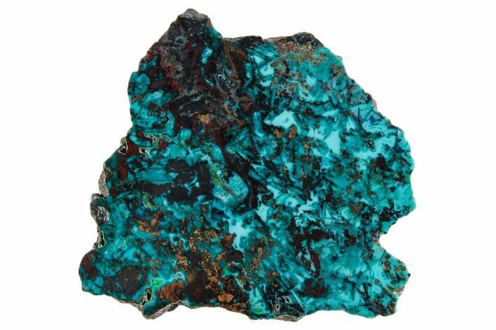 Vibrant Chrysocolla and Shattuckite Slab - Mexico #281774